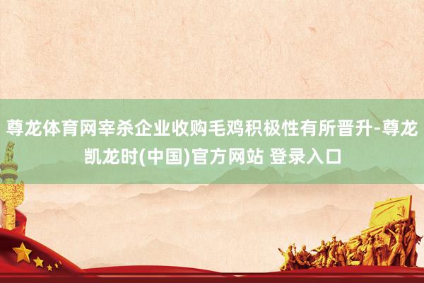 尊龙体育网宰杀企业收购毛鸡积极性有所晋升-尊龙凯龙时(中国)官方网站 登录入口
