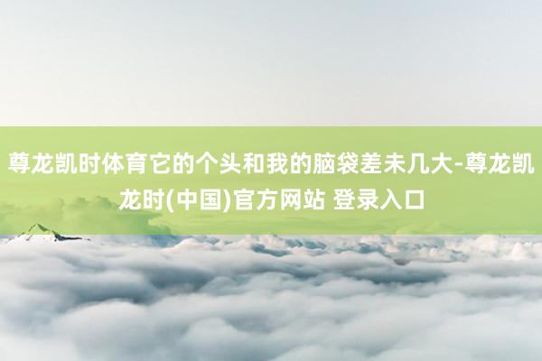 尊龙凯时体育它的个头和我的脑袋差未几大-尊龙凯龙时(中国)官方网站 登录入口