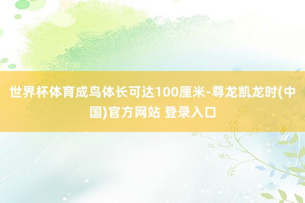 世界杯体育成鸟体长可达100厘米-尊龙凯龙时(中国)官方网站 登录入口