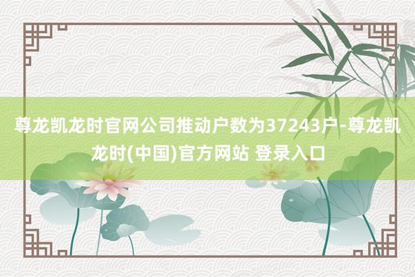 尊龙凯龙时官网公司推动户数为37243户-尊龙凯龙时(中国)官方网站 登录入口